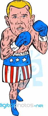 Boxer Pose Usa Flag Etching Stock Image