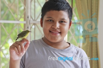 Boy And Bird Stock Photo