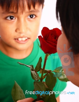 Boy Giving Rose To His Mother Stock Photo