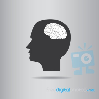 Brain In Head  Illustration  Stock Image