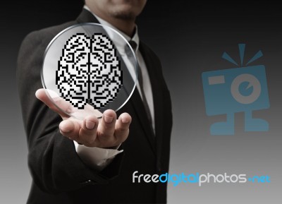 Brain Of Business Intelligence Stock Photo