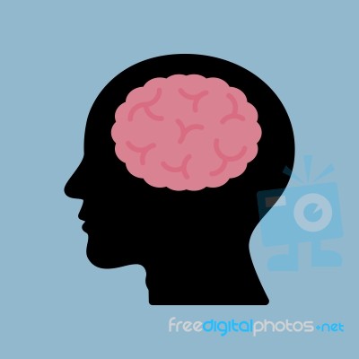 Brain Think Head Stock Image