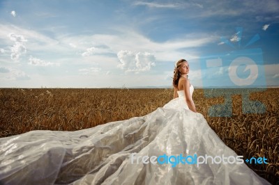 Bride In Wheat 2 Stock Photo