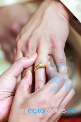 Bride Wearing Ring On Groom's Finger Stock Photo