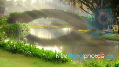 Bridge In Park With Morning Rays Stock Photo