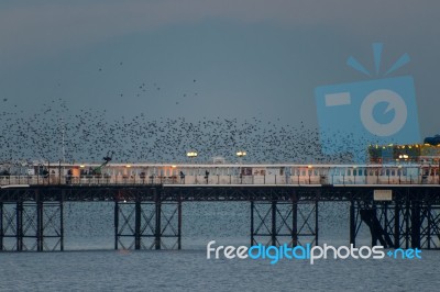 Brighton, East Sussex/uk - January 26 : Starlings Over The Pier Stock Photo