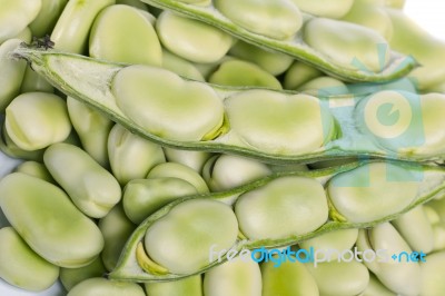 Broad Beans Stock Photo Broad Beans Stock Photo
