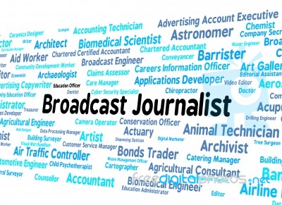 Broadcast Journalist Represents Lobby Correspondent And Broadcas… Stock Image