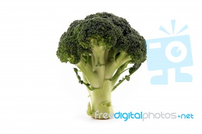 Broccoli Floret Stock Photo