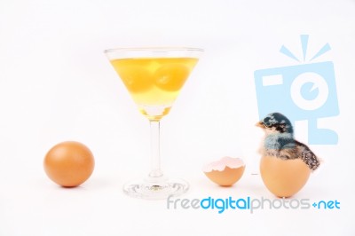 Broken Egg Stock Photo