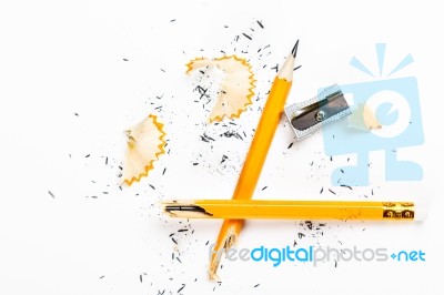 Broken Pencil With Metal Sharpener And Shavings Stock Photo
