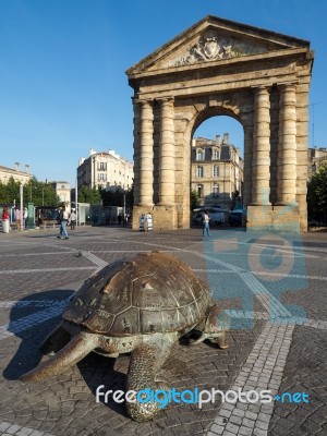 Bronze Sculptures Of An Adult And Young Giant Tortoise In Place Stock Photo