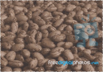 Brown Bean Background Stock Image