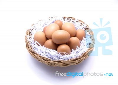 Brown Eggs With White Background  Stock Photo