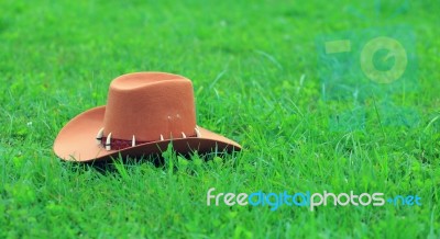 Brown Stetson On Green Grass Stock Photo Brown Stetson On Green Grass Stock Photo
