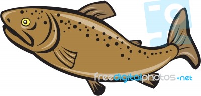 Brown Trout Fish Side Cartoon Stock Image