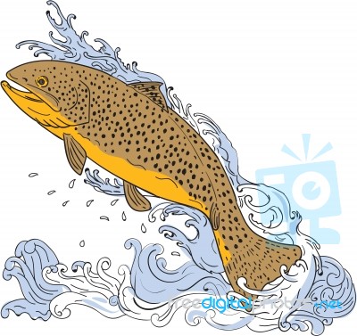 Brown Trout Swimming Up Turbulent Water Drawing Stock Image