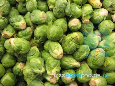 Brussels Sprouts Stock Photo