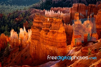 Bryce Canyon Sculpted By Nature Stock Photo