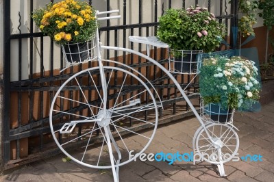 Bucharest/romania - September 21 : White Penny Farthing Bicycle Stock Photo