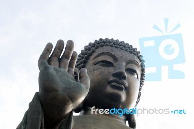 Buddha Stock Photo