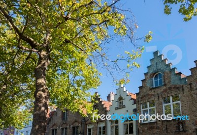 Buildings Alongside A Canal  In Bruges West Flanders In Belgium Stock Photo