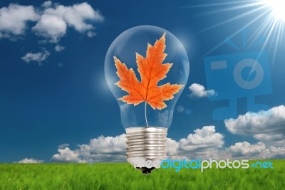Bulb Leaf Idea Stock Photo