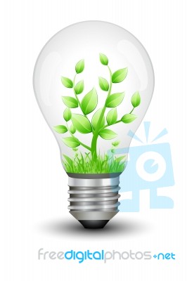 Bulb With Plant Stock Image