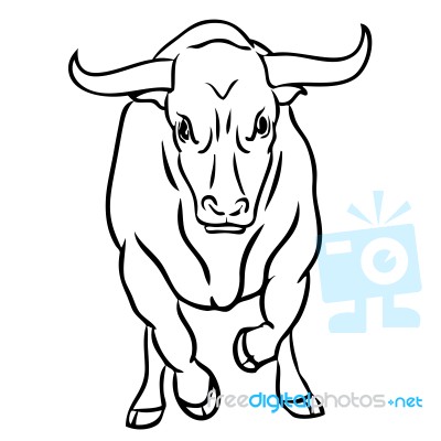 Bull On White Background Stock Image
