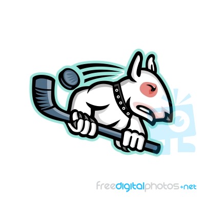 Bull Terrier Ice Hockey Mascot Stock Image