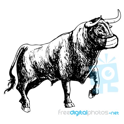 Bull With Mask On White Background Stock Image