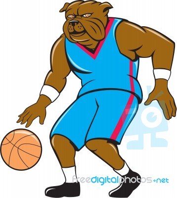 Bulldog Basketball Player Dribble Cartoon Stock Image