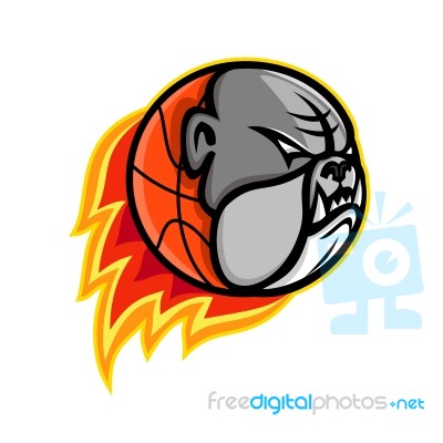 Bulldog Blazing Basketball Mascot Stock Image