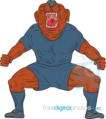 Bulldog Footballer Celebrating Goal Cartoon Stock Image