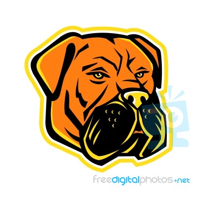 Bullmastiff Dog Mascot Stock Image