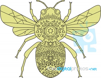 Bumble Bee Mandala Stock Image