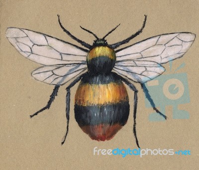 Bumblebee Painting Stock Image