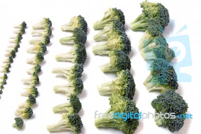 Bunch Of Broccoli Vegetables Aligned In A Perfect Way Stock Photo