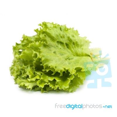 Bunch Of Fresh Green Lettuce On White Background Stock Photo