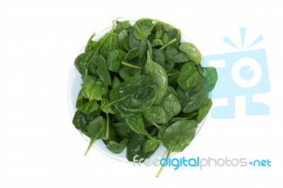 Bunch Of Fresh Spinach On A Dish Stock Photo