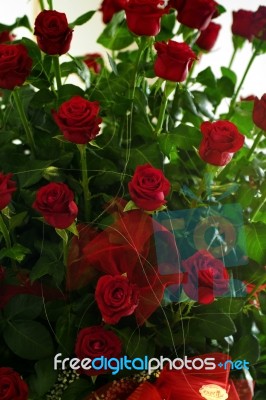 Bunch Of Red Roses Stock Photo