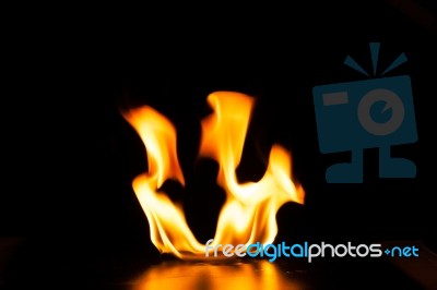 Burning Fire Flame On Black Background Stock Photo