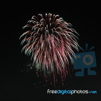 Bush Firework Style Explode On Night Sky Stock Photo
