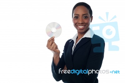 Business Data Is Secure In A Compact Disk Stock Photo