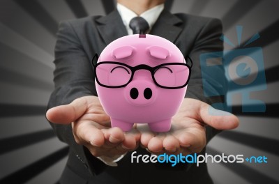 Business Hand Holding Piggy Bank Stock Photo