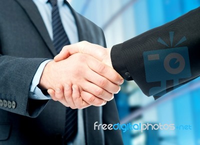Business Handshake, The Deal Is Finalized Stock Photo