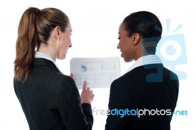 Business Ladies Reviewing Documents Stock Photo