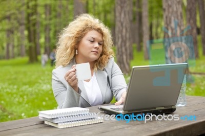 Business Lady Using Laptop In Park Stock Photo