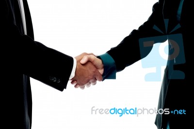 Business People Handshake Stock Photo