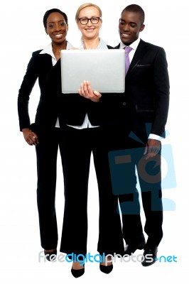 Business Team Using Laptop Stock Photo